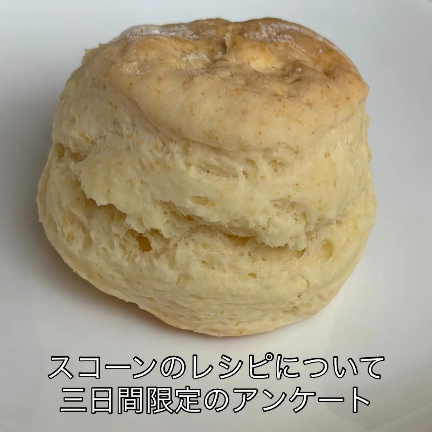 このスコーン、何時ものスコーンとどう違うのか？？

何故何時もに増してしっとりしていてコクがあるのか？

レシピが違うんです！
何時もはヨーグルトだけですが、このレシピではヨーグルトと生クリーム半々で作られています。

このレシピのスコーン召し上がってみたいかた、是非今日から三日間限定のアンケートにご参加下さい。

10人以上の方が「食べに行きます」とご回答下されば、5月限定スペシャルとしてお作りします！