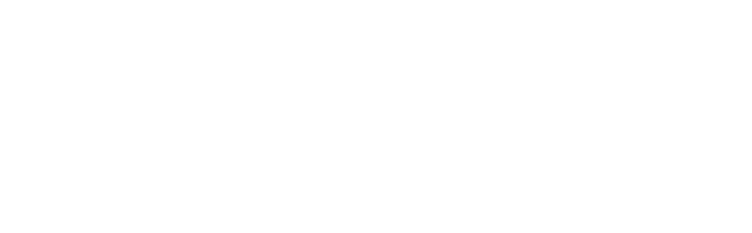 Nerrigundah Blueberries