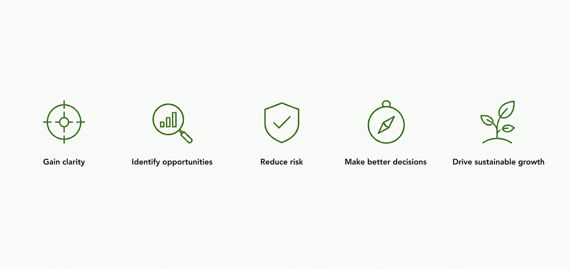 Icons with text describing benefits: Gain clarity, Identify opportunities, Reduce risk, Make better decisions, Drive sustainable growth.