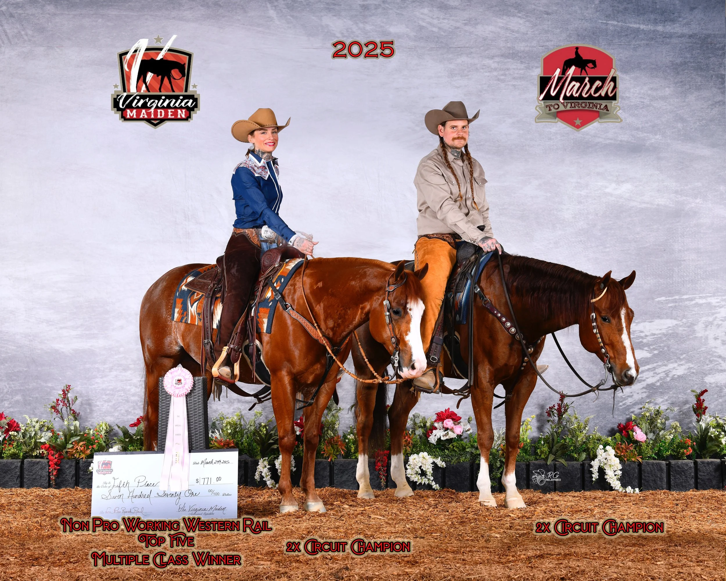 Show Horses from Red Roan Ranch