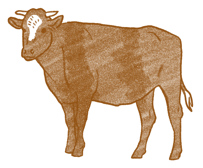 red roan cow drawing shares full.png (Copy)