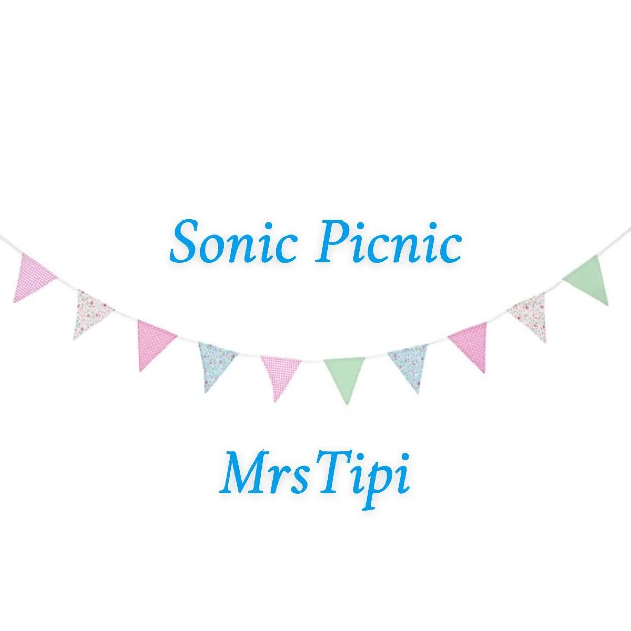 Samuel&rsquo;s Sonic-Themed Hedgehog Picnic Birthday Party 🦔💙
Samuel celebrated his special day with a fun and vibrant Sonic the Hedgehog-themed picnic party! The setup was full of excitement:

🍓 A beautifully styled picnic area where guests could