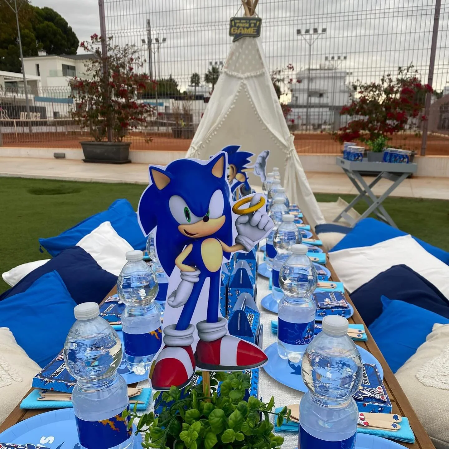 Samuel&rsquo;s Sonic-Themed Hedgehog Picnic Birthday Party 🦔💙
Samuel celebrated his special day with a fun and vibrant Sonic the Hedgehog-themed picnic party! The setup was full of excitement:

🍓 A beautifully styled picnic area where guests could