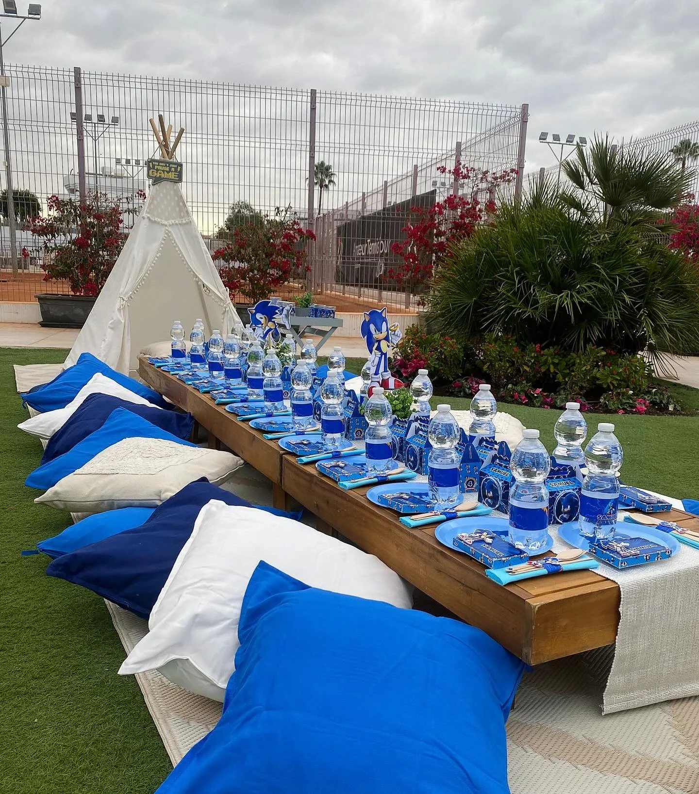 Samuel&rsquo;s Sonic-Themed Hedgehog Picnic Birthday Party 🦔💙
Samuel celebrated his special day with a fun and vibrant Sonic the Hedgehog-themed picnic party! The setup was full of excitement:

🍓 A beautifully styled picnic area where guests could