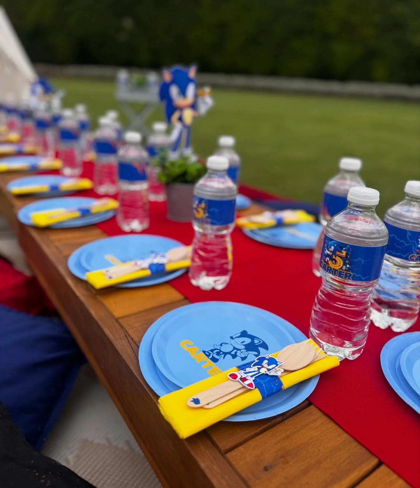 💙 Sonic Picnic party💙 

~ Carter&rsquo;s 5th Birthday Dash! 💨

MrsTipi turned the park into Green Hill Zone for Carter&rsquo;s Sonic-themed picnic! Bright blues and bold pops of red and yellow brought Sonic&rsquo;s world to life. 

Happy 5th Birth
