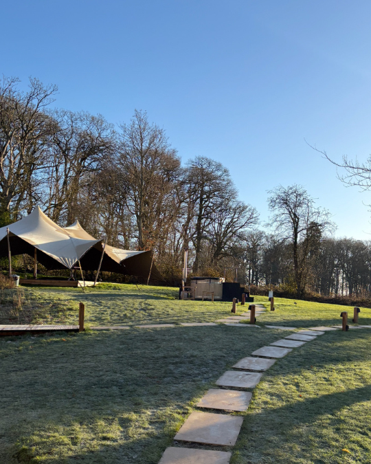 Untitled design 47.png