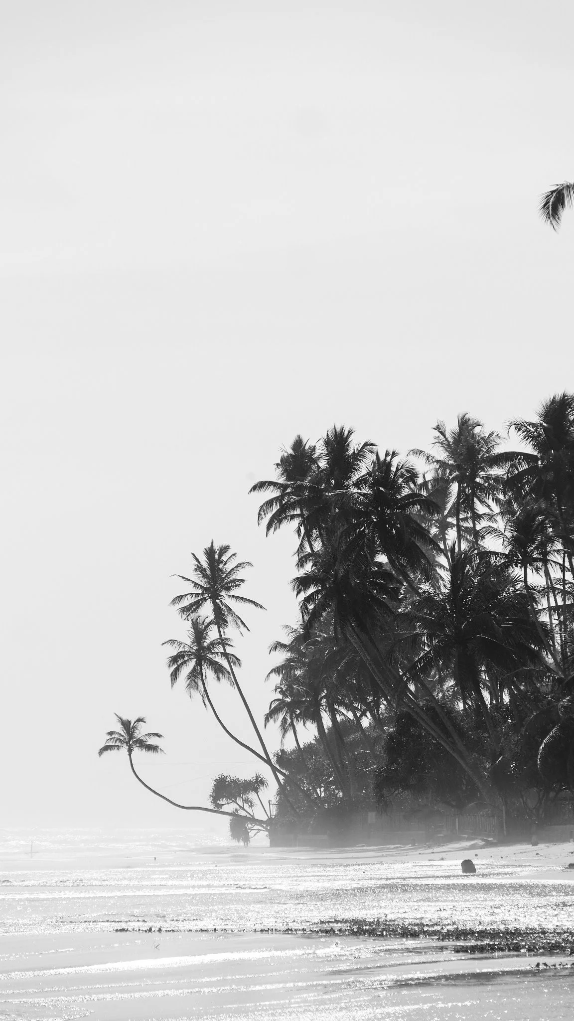5C08D470-B995-48A2-B615-9F860FCDDEC4-67108-0000260C68CA7D2F.jpeg