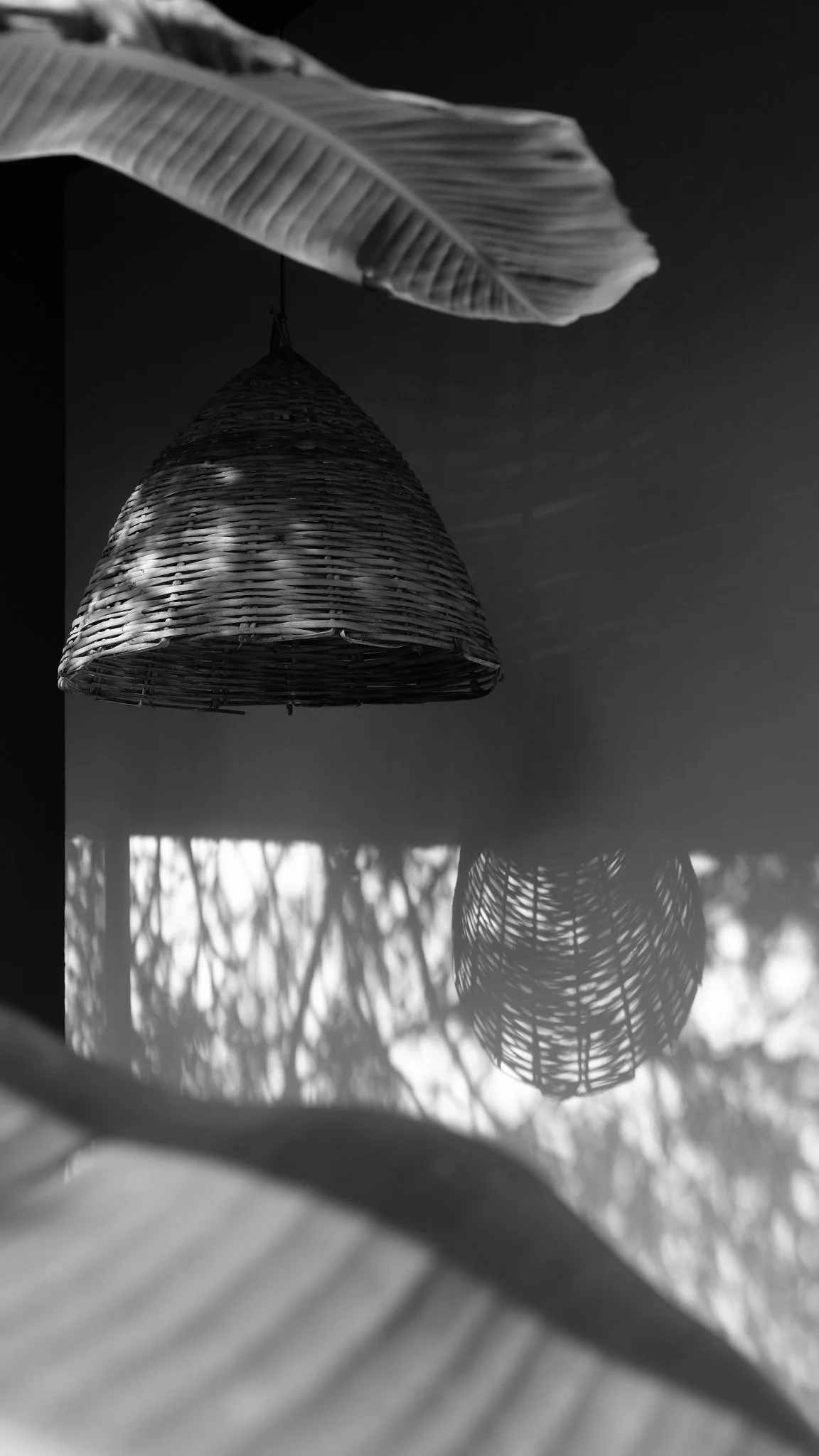 88F49990-FAE8-4ACF-A302-E2A39C69BE09-70272-0000272156355657(1).jpeg