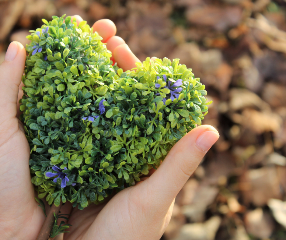 Warum ambulante Pflege Entscheidungskompetenz verlangt