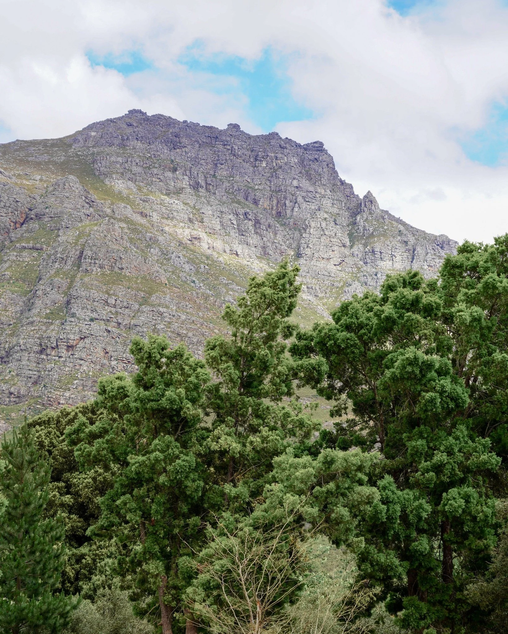 Mountains calling: Jonkershoek's peaks painted in November gold, begging for your next summit sip - or cold dip -  Iced Coffee in hand, views on lock, adventure unlocked. 

Capture your peak moment and tag us. 🌅🧗&zwj;♂️ #StunningScenery #MountainsB
