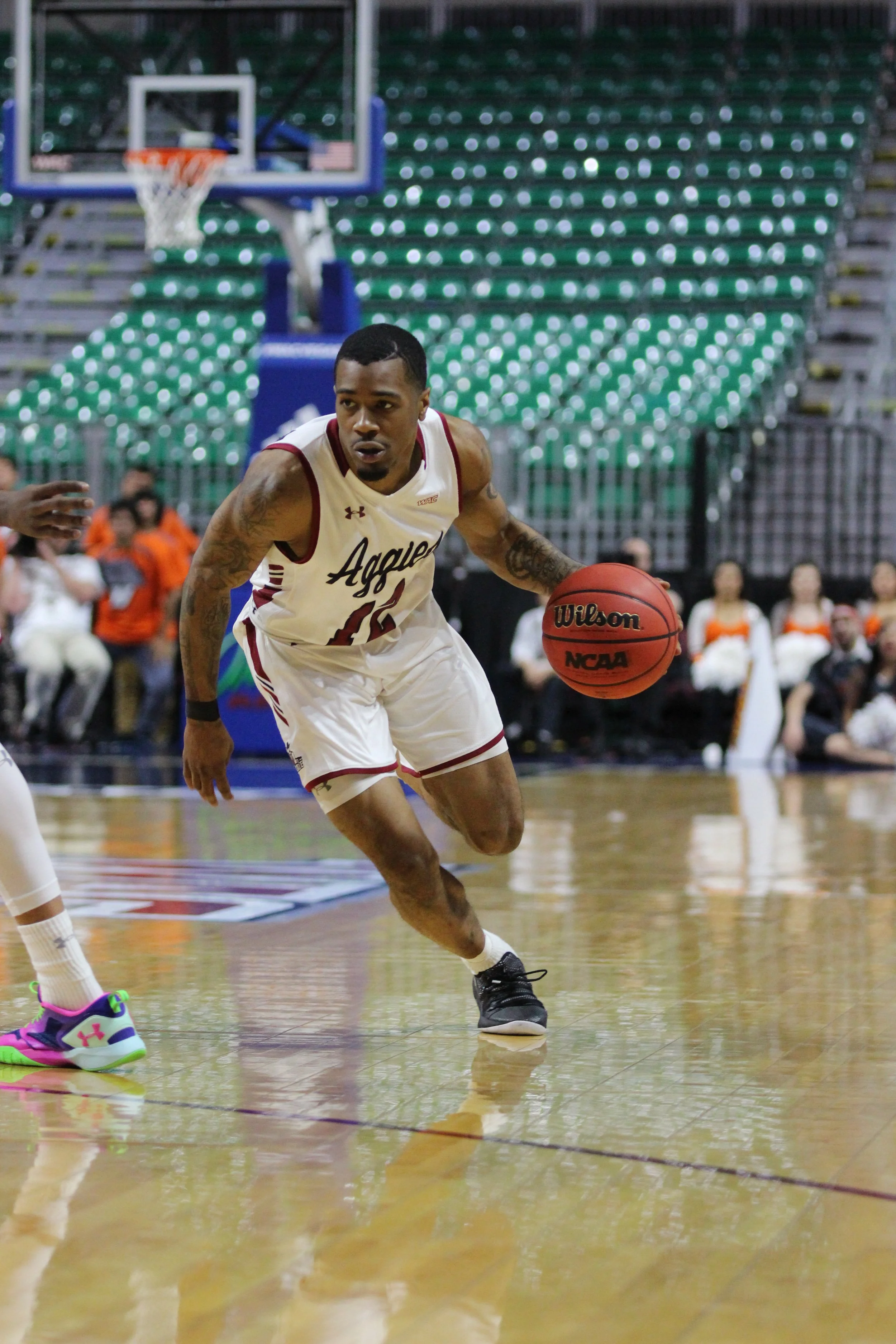 Friday, March 15, 2019, at Orleans Arena. (Photo by Eli K. Whitney/Kokopelli)