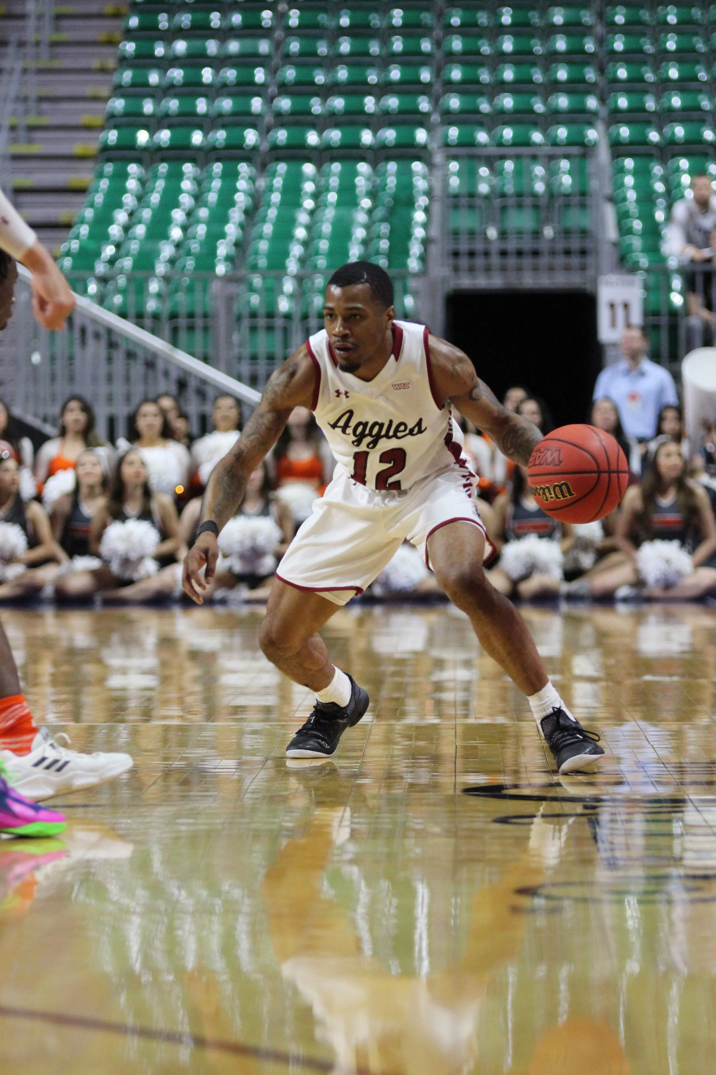 Friday, March 15, 2019, at Orleans Arena. (Photo by Eli K. Whitney/Kokopelli)