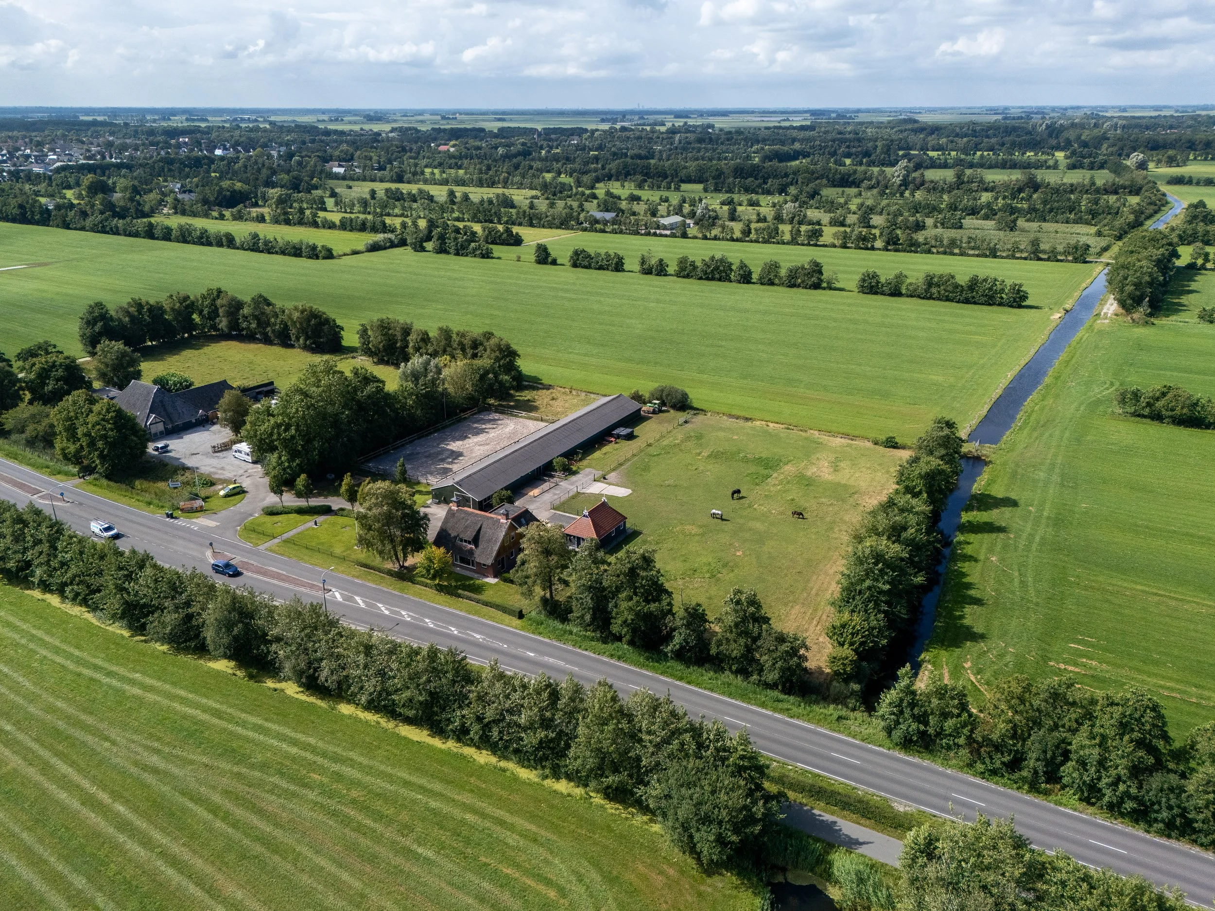 Haadwei 2, Damwald-3.jpg