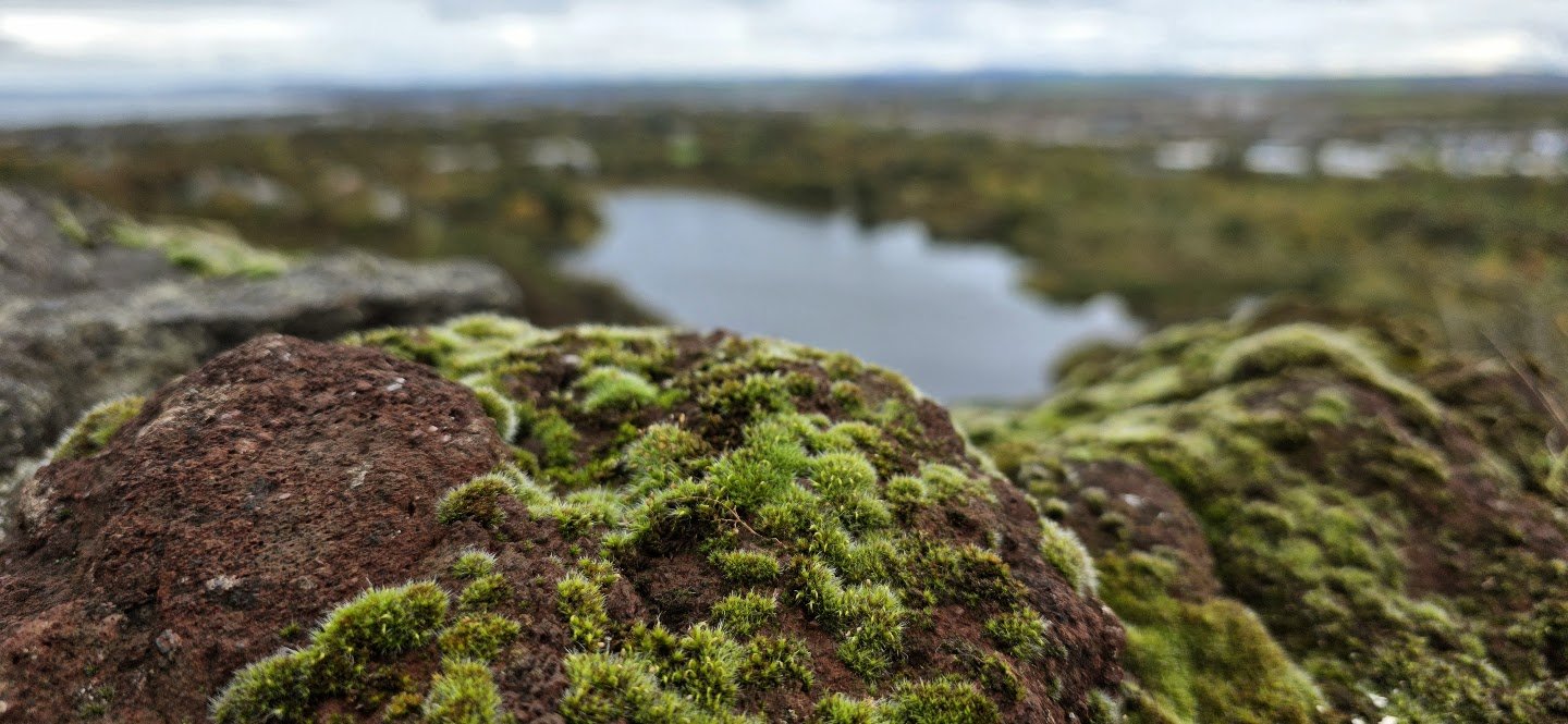 Close-up of moss-covered rocks with a blurred landscape and water in the background.