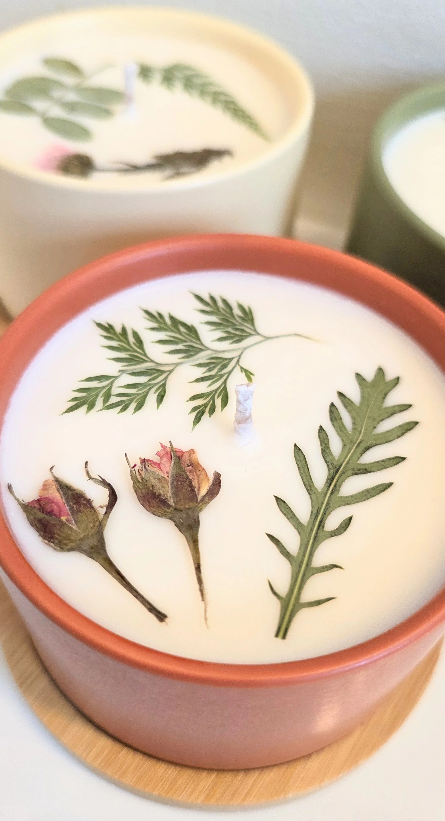 dd61ea4a-580e-4842-b697-e1384a7d6ef7-1_all_40633.jpg (Copy)