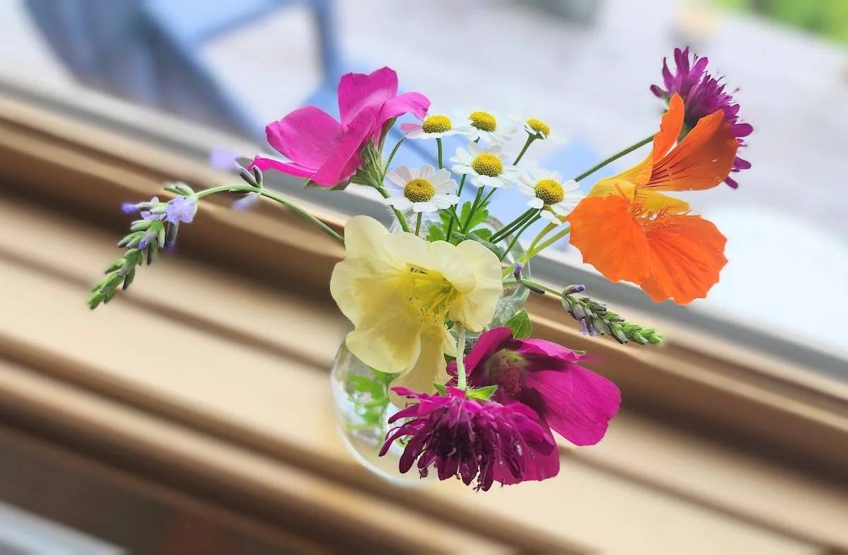 Colorful bouquet of various flowers in a small clear glass vase on a windowsill, including daisies, poppies, and lavender.