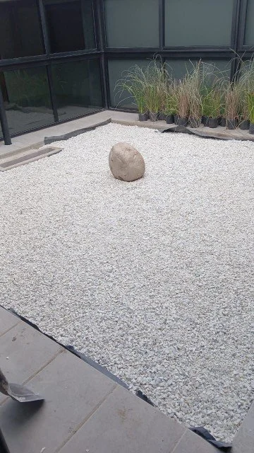 565.jpg