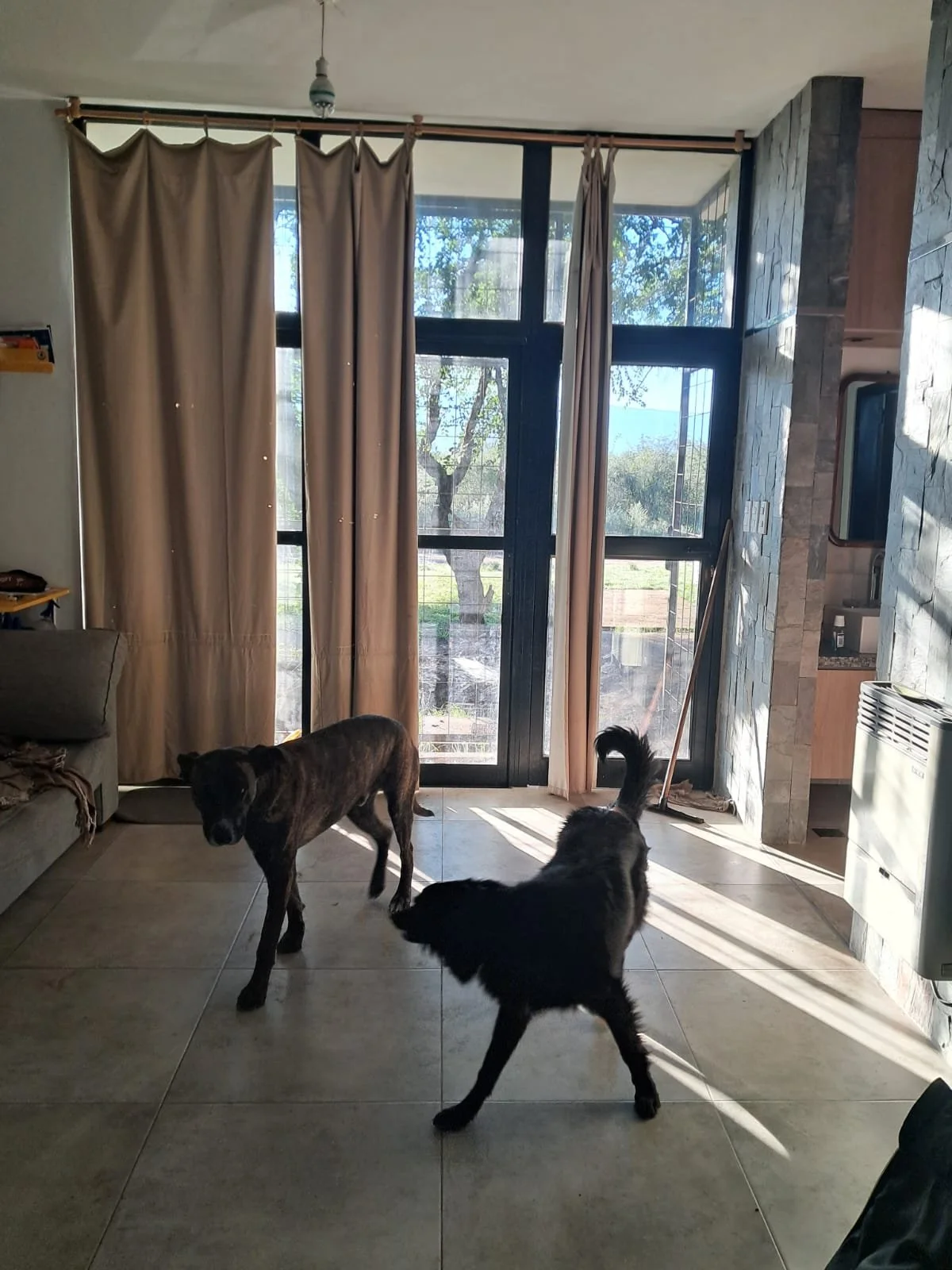 WhatsApp Image 2026-03-19 at 9.56.30 AM (2).jpeg