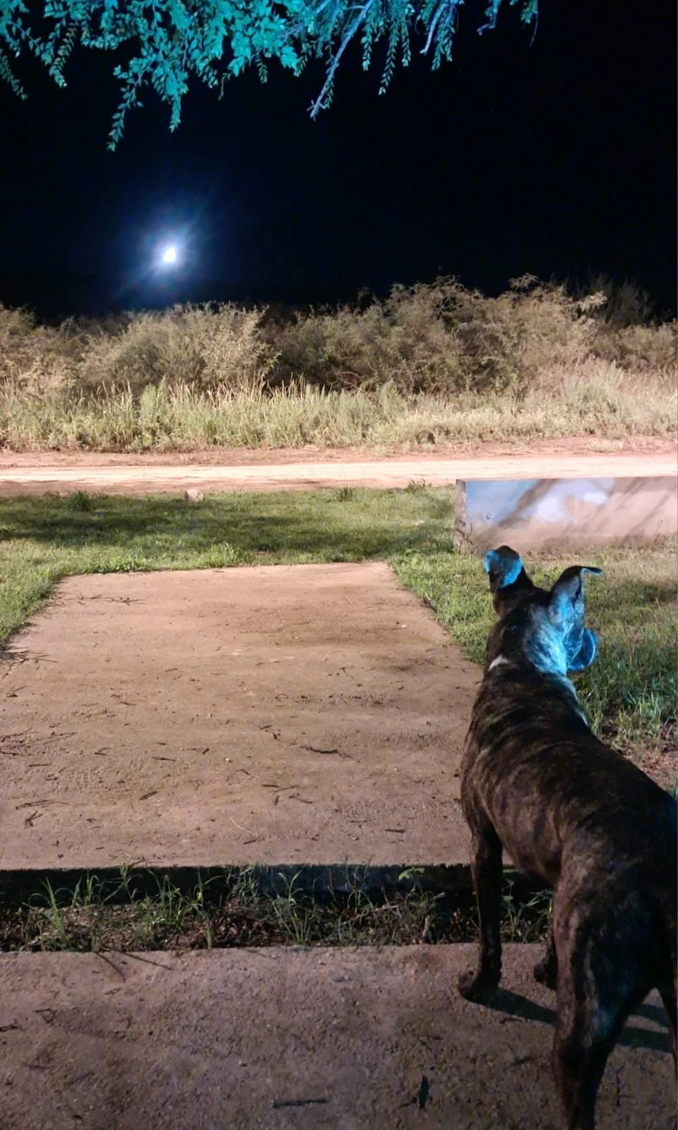 WhatsApp Image 2026-03-19 at 9.56.30 AM (1).jpeg