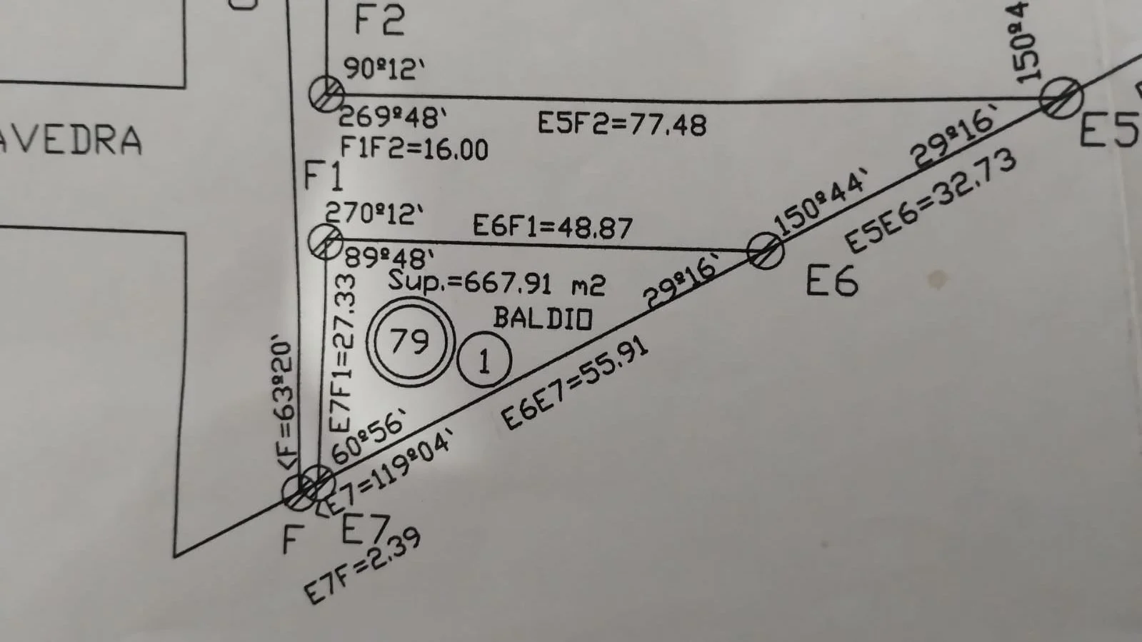 WhatsApp Image 2024-11-28 at 09.49.27.jpeg