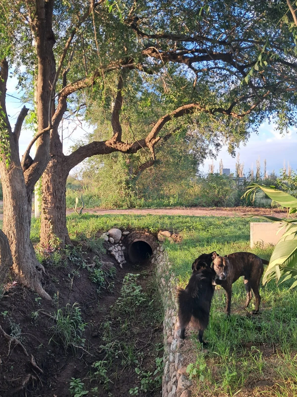 WhatsApp Image 2026-03-19 at 9.56.29 AM (1).jpeg