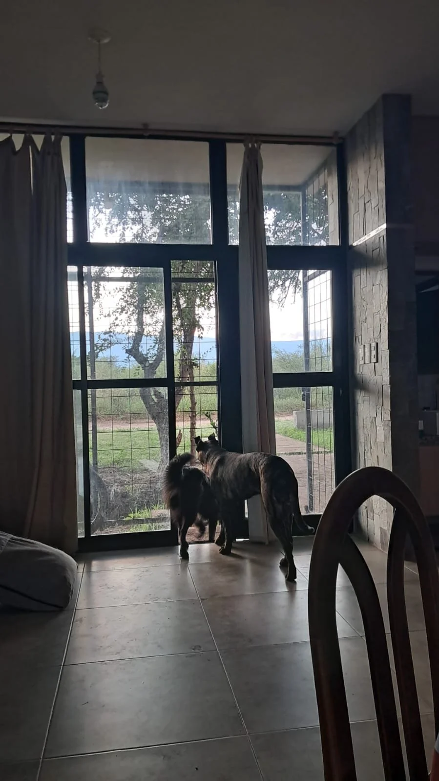 WhatsApp Image 2026-03-19 at 9.56.29 AM (2).jpeg