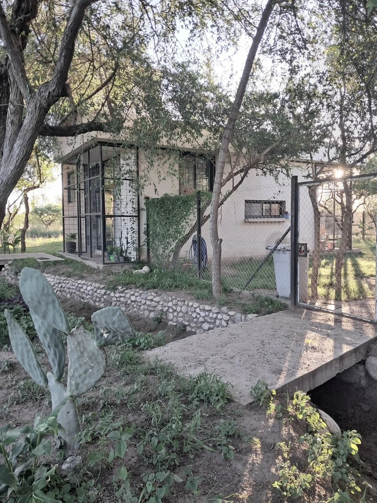 Casa de campo rodeada de árboles y plantas, con un camino de concreto, cerca de una cerca de malla, en un entorno natural
