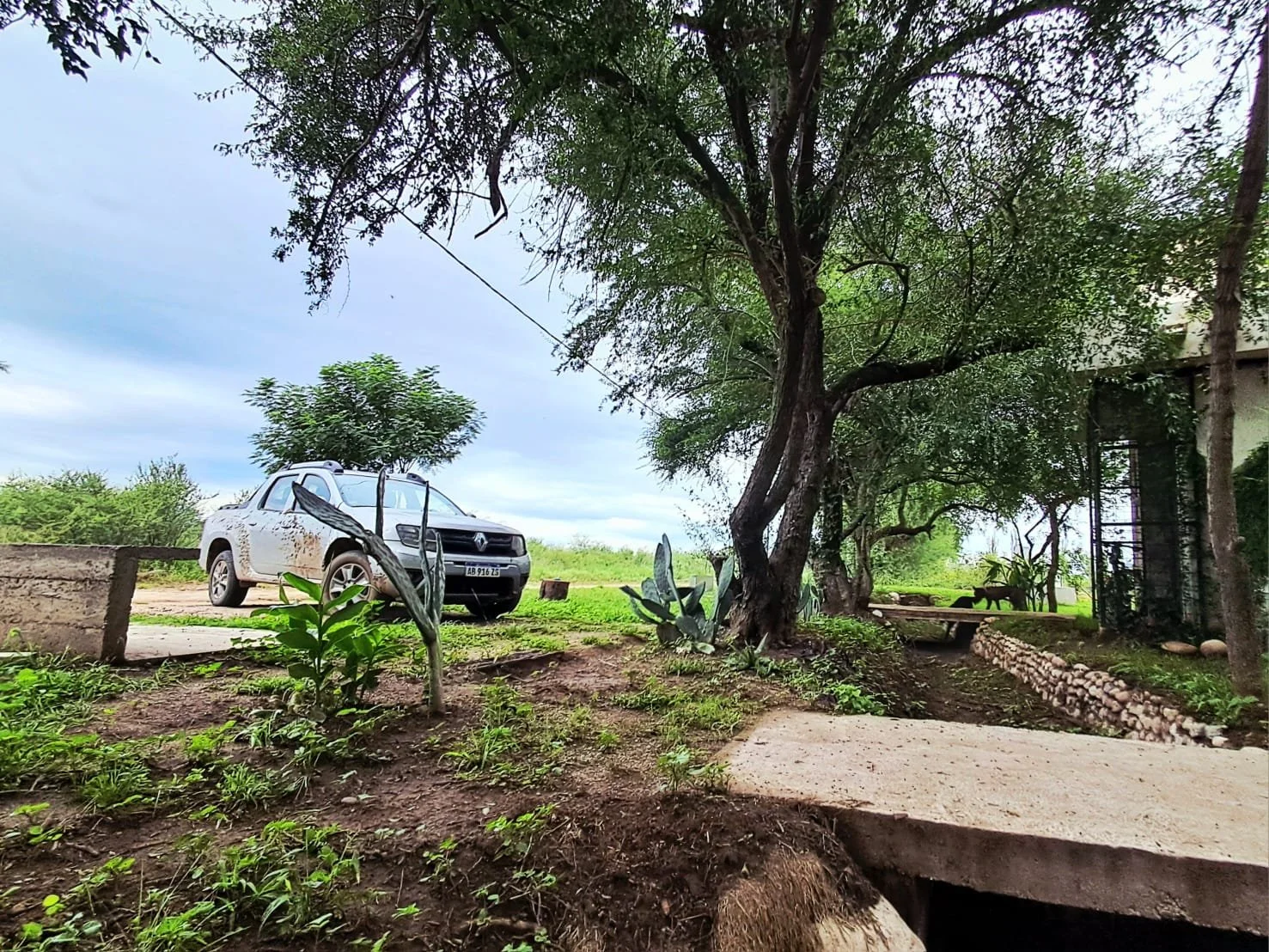 WhatsApp Image 2026-03-19 at 9.56.30 AM.jpeg