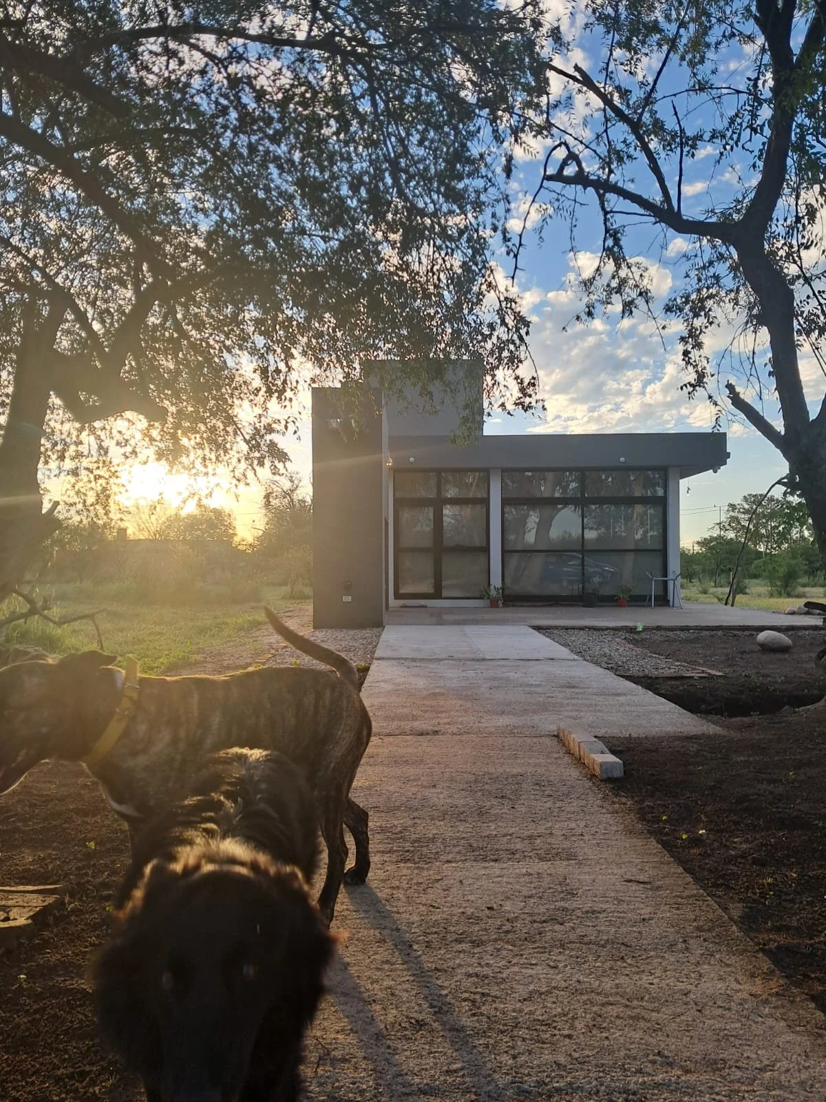 WhatsApp Image 2026-03-19 at 8.44.17 AM.jpeg