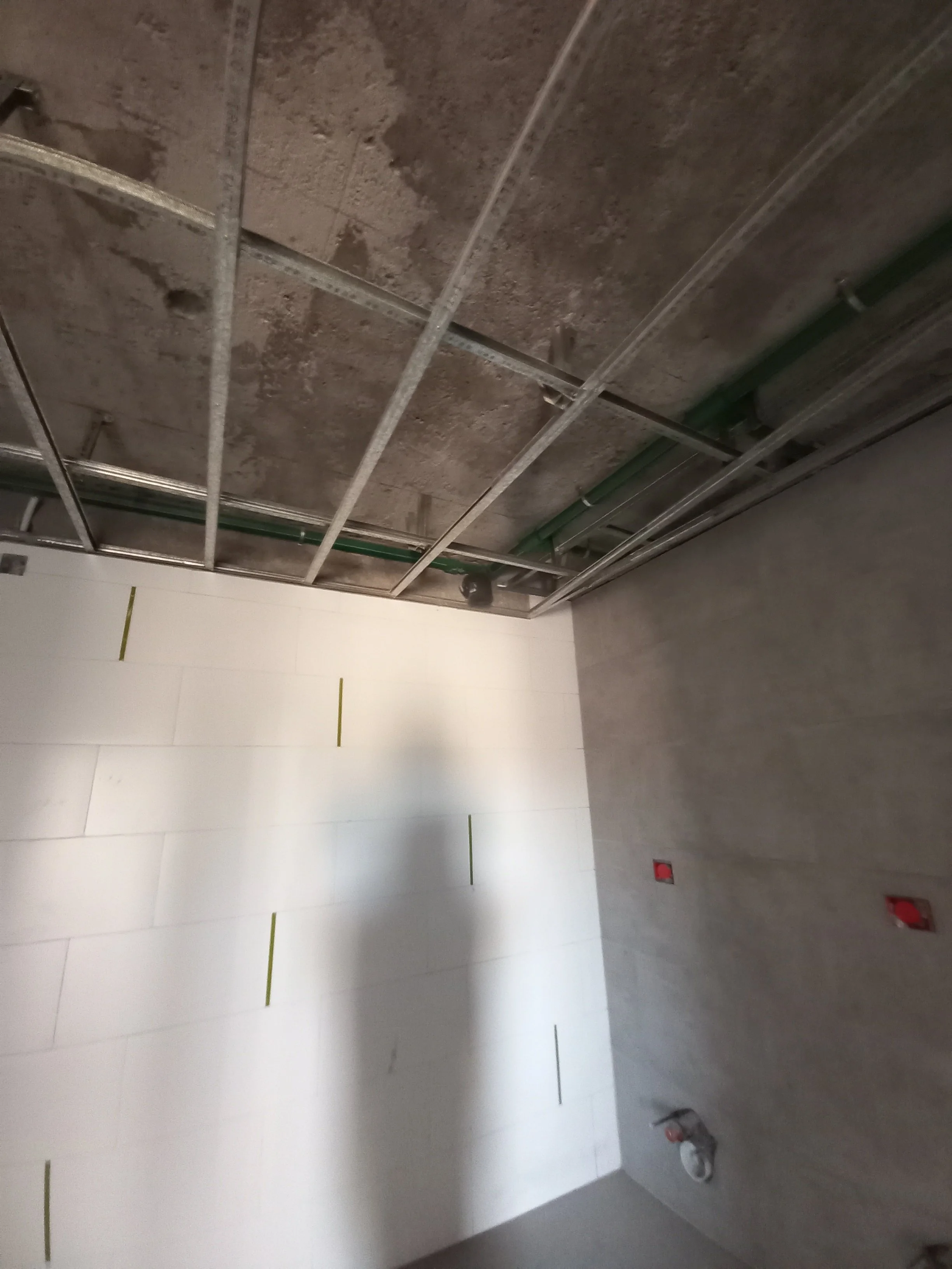 20230915_110644 - copia.jpg