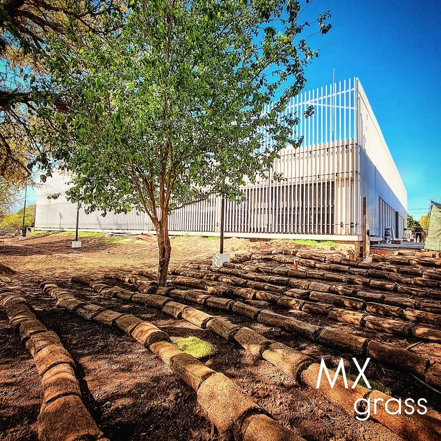 WhatsApp Image 2026-03-02 at 4.55.19 PM.jpeg