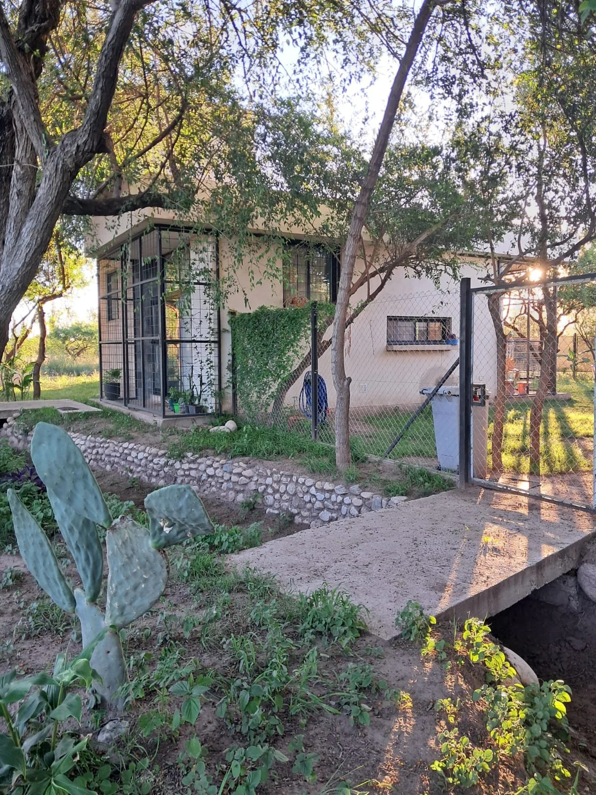 WhatsApp Image 2026-02-26 at 6.05.09 PM (1).jpeg