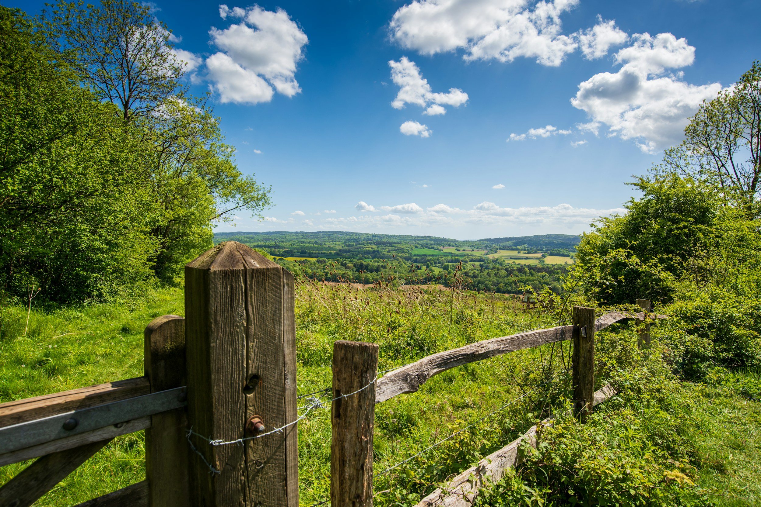 Partner-led accountancy and tax advice for Surrey businesses and individuals