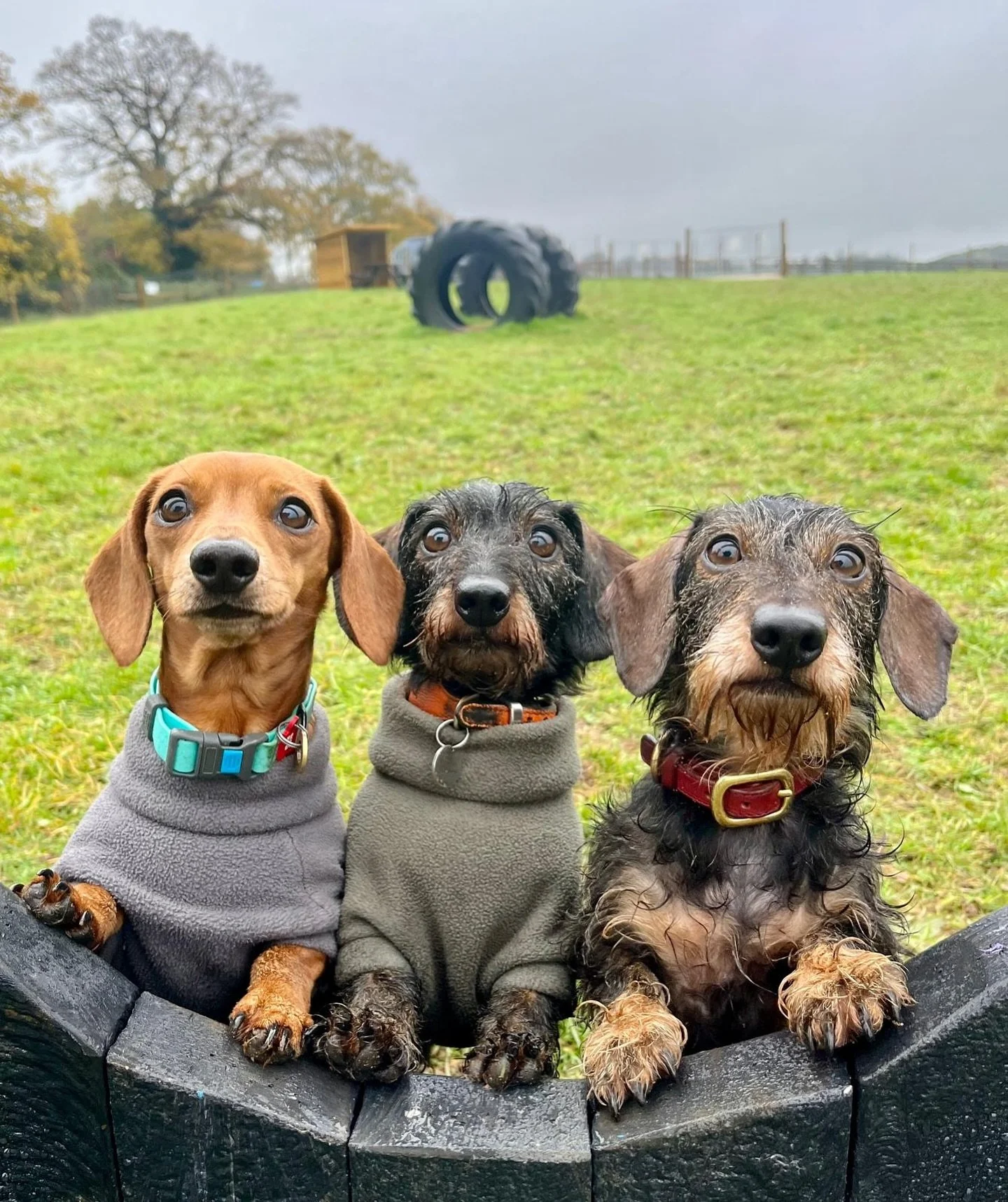 To avoid disappointment book ahead this weekend, we have limited availability due to a private event on Sunday 🔗 in bio