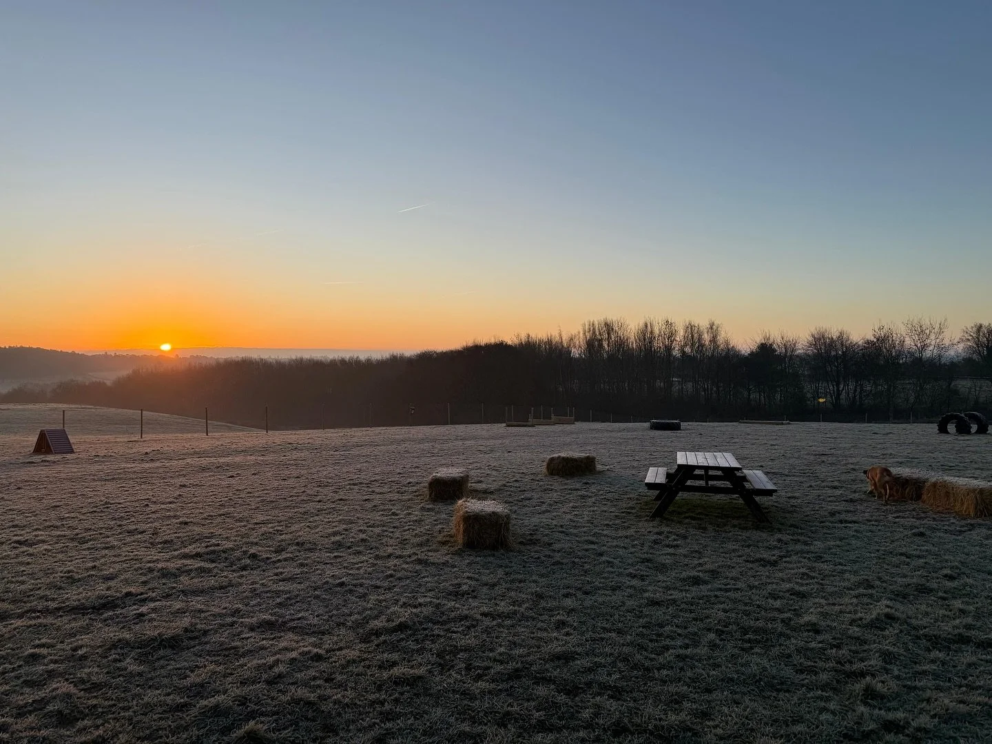 ✨ WINNIE&rsquo;S WALKIES GIVEAWAY ✨

To celebrate the new year, we&rsquo;re giving ONE lucky winner:
🐶 2 &times; 50-minute private bookings 🐶

How to enter:
🐾 Like this post
🐾 Tag a friend (with a dog!)
🐾 Follow Winnie&rsquo;s Walkies Secure Dog