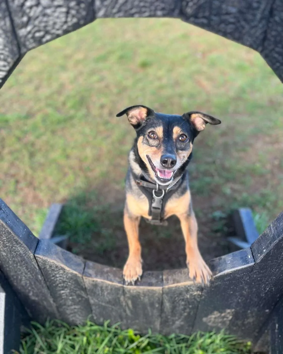 Have a great time at the field this weekend - don&rsquo;t forget to share your pictures! There are still slots available - book via the link in our bio