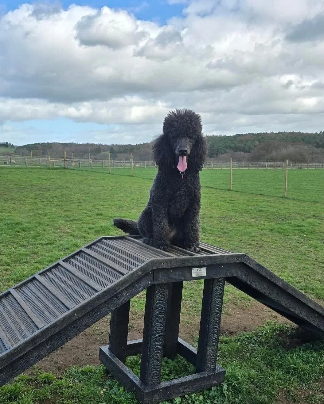 Just look at this agile bunch 😍 

We&rsquo;re fully booked today with some slots still available tomorrow - book using the link in our bio 🔗

Reminder to please adhere to all booking terms &amp; conditions, let&rsquo;s keep this space amazing!