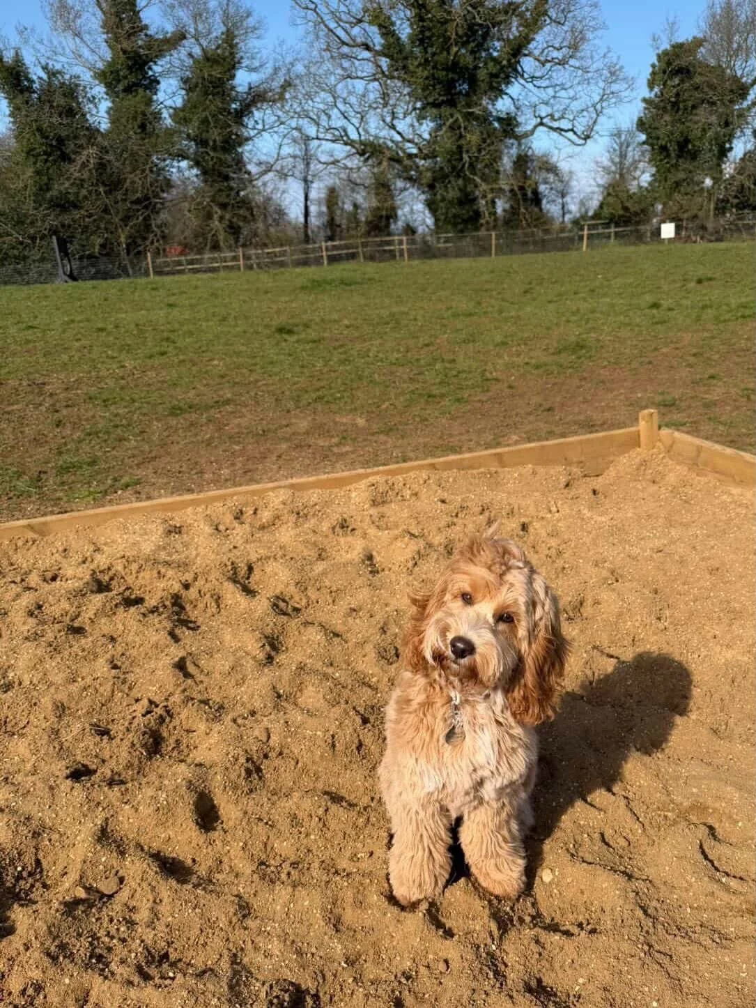 Absolutely adorable visitors to the field in this wonderful weather! 
There are still slots available over the coming days, book now using the link in our bio!