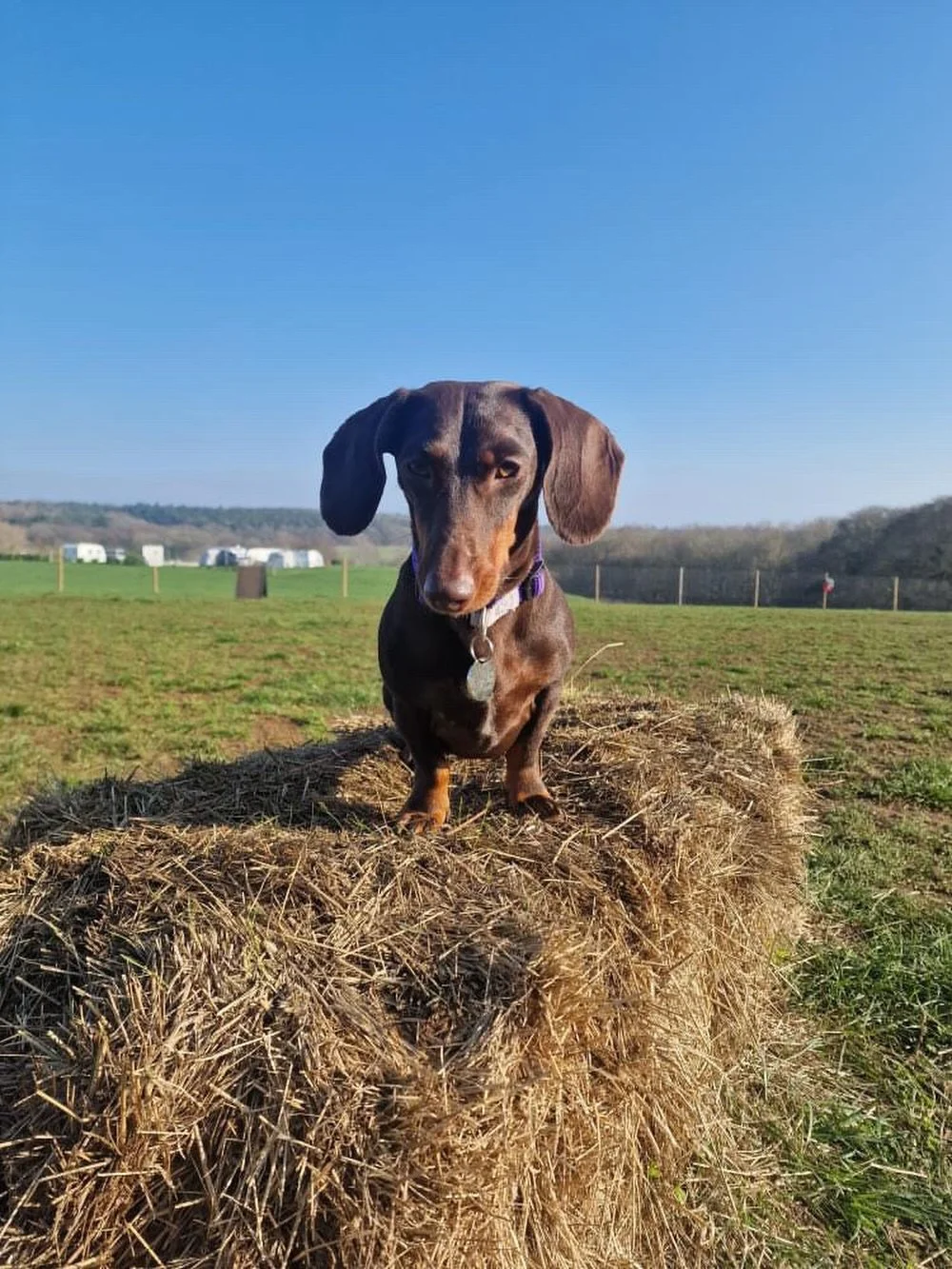 Another sunny Saturday! 1 slot available today and plenty available tomorrow ☀️ - book using the link in our bio