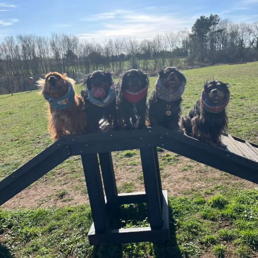 Another sunny Saturday in store - 8am is the only slot available today, there are still slots available for tomorrow, book to avoid disappointment!