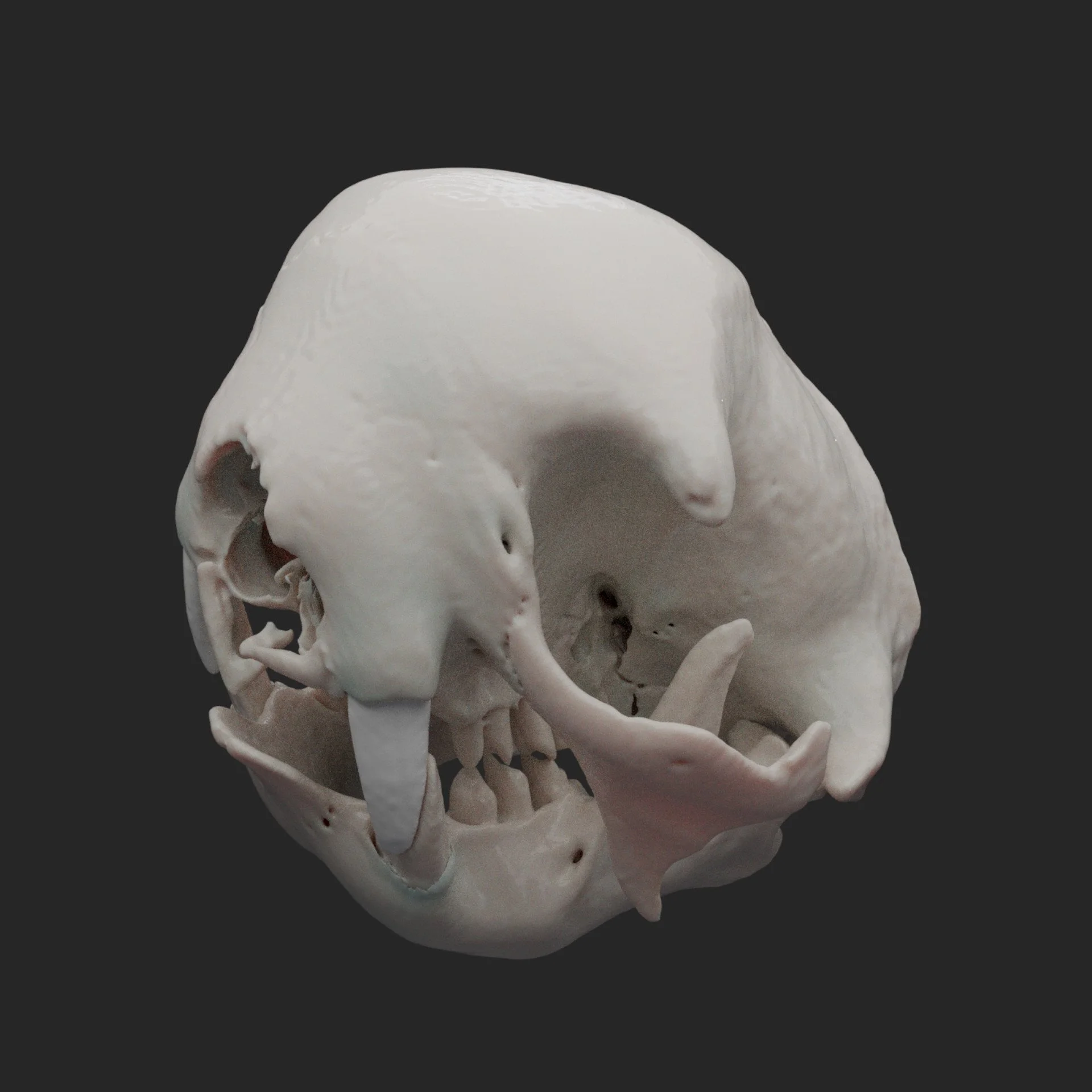 Sloth Dental