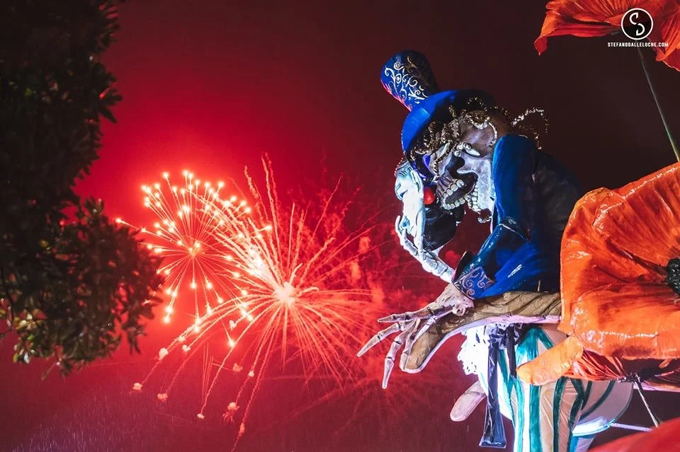 PAPAVERI ROSSI - 2018