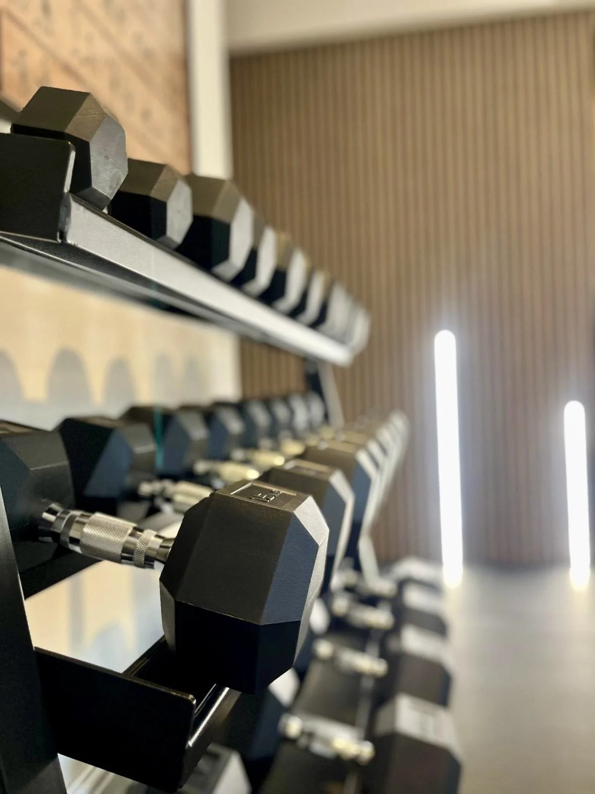 Gym dumbbell weights in the gym at Great Yarmouth hotel Andover House