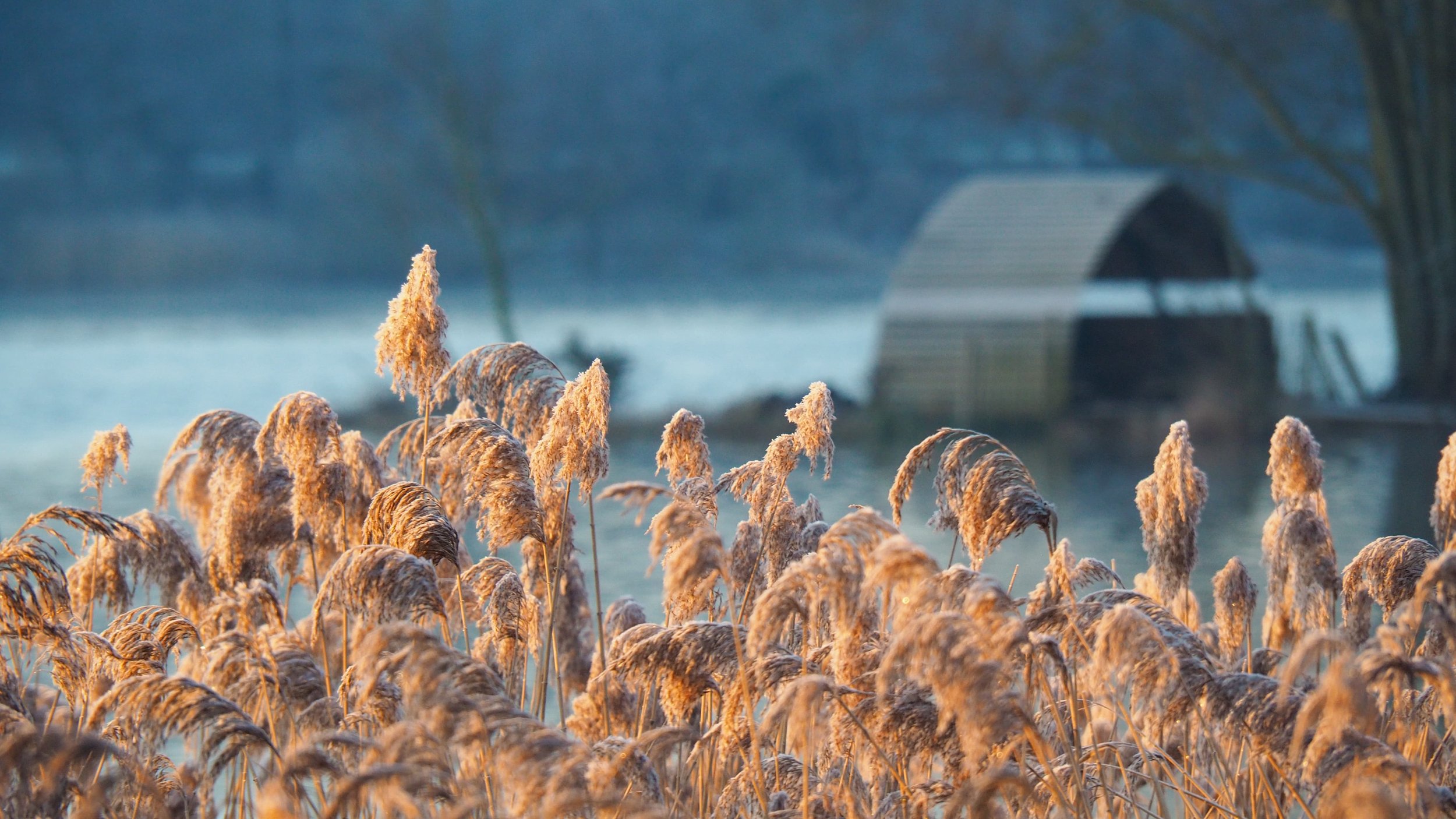 Norfolk broads during the winter months