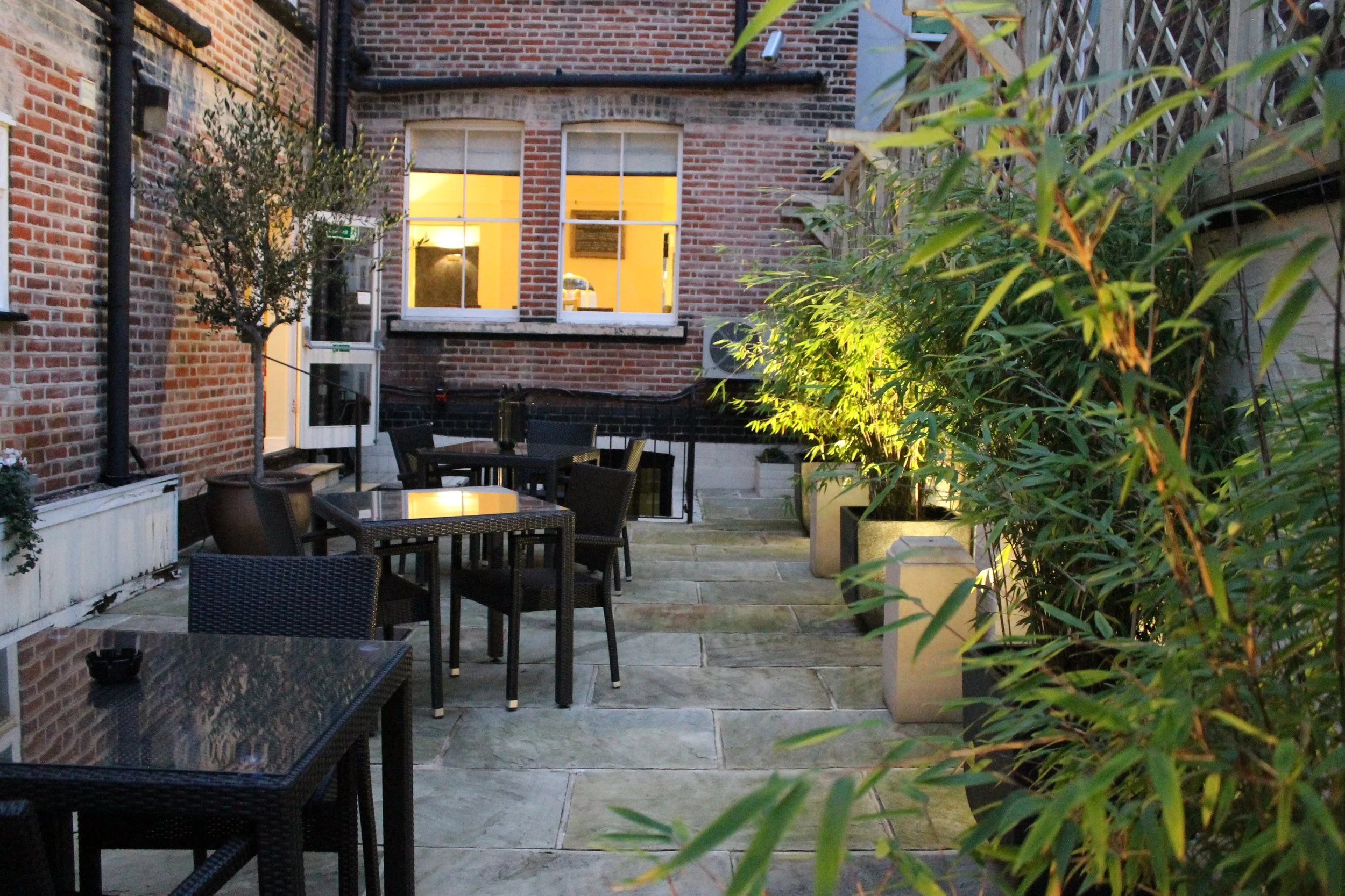 Outdoor terrace at Andover House with alfresco seating, planting, olive trees