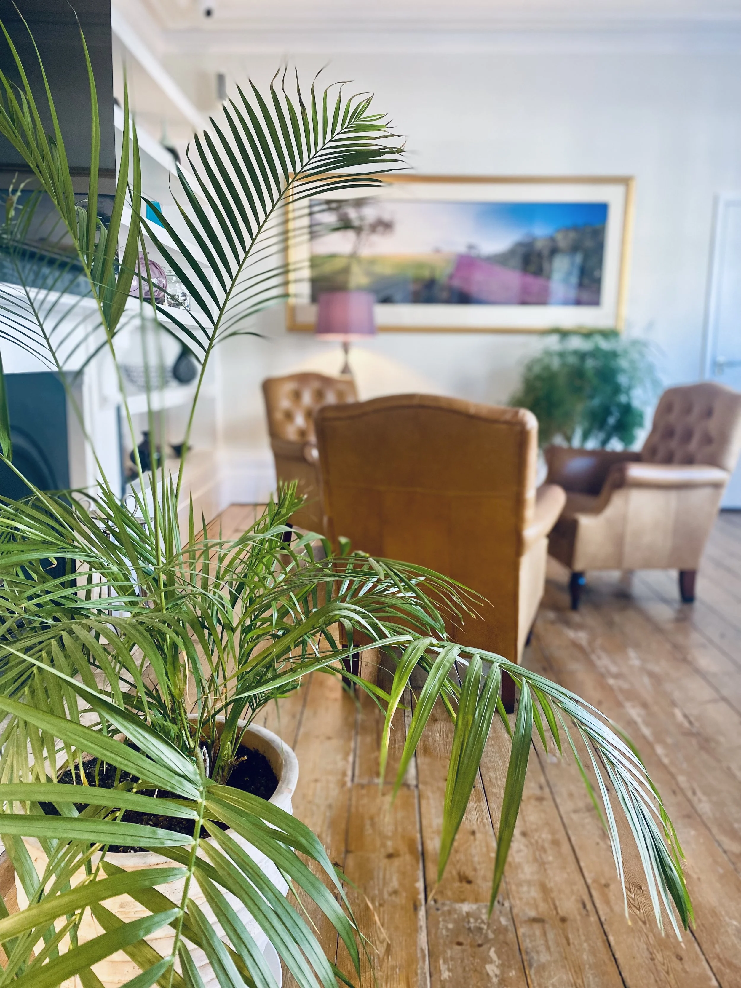 Lounge with comfortable seating and plants at Andover House Hotel