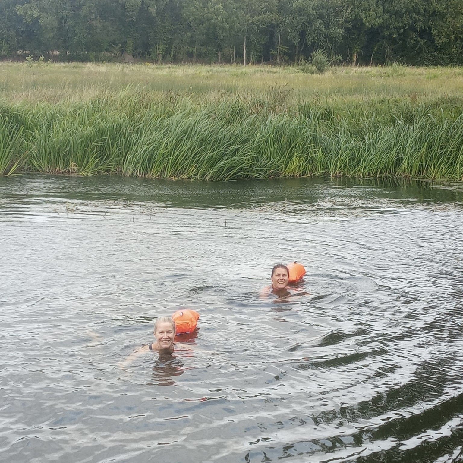 Wild swimming in the Norfolk Broads