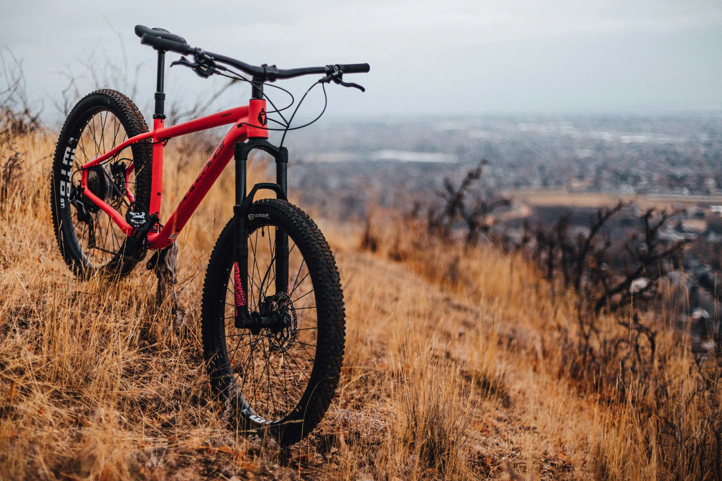 Why Mountain Biking Helps Your Mental Health