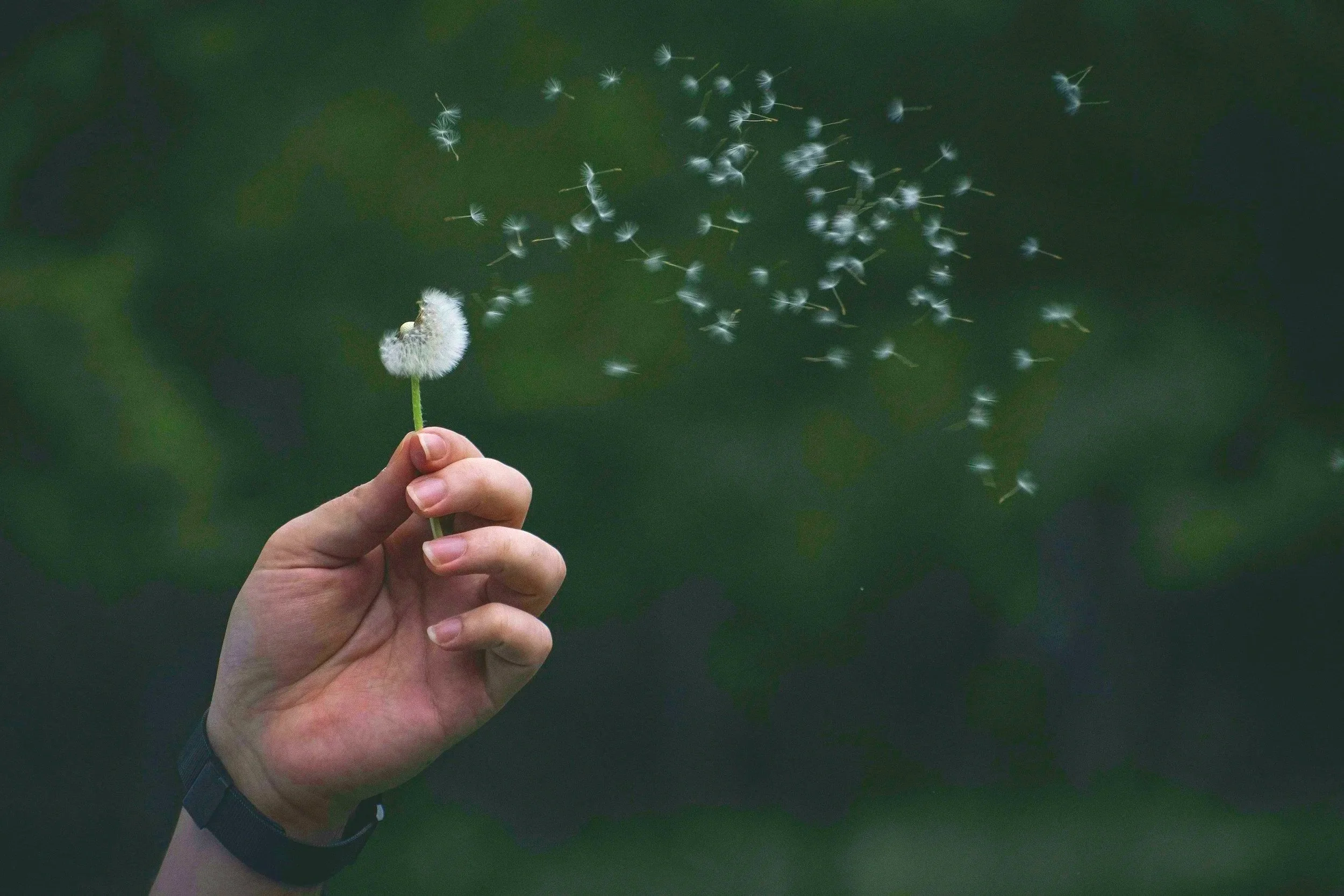 The Paradox of Radical Acceptance | Why Letting Go of the Fight is Simple, Brutally Hard, and Entirely Necessary