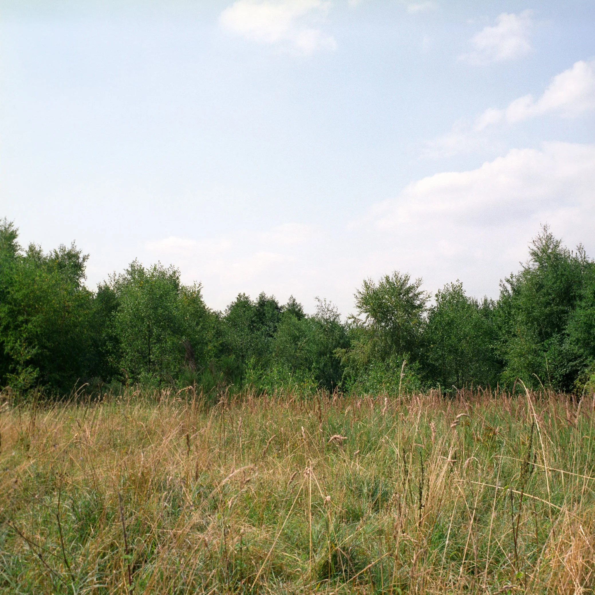 kleinfischbach